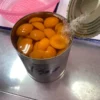 Canned Apricot Halves