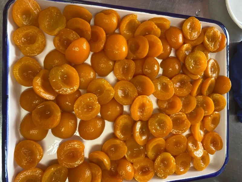 Canned Apricot Halves in Syrup Canned Apricot Halves in Syrup