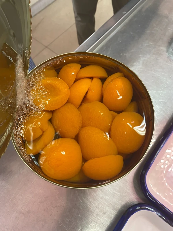 Canned Apricot Halves in Syrup Canned Apricot Halves in Syrup