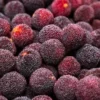 Canned Bayberries Canned Wax Berry in Syrup
