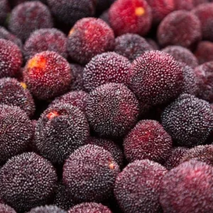Canned Bayberries Canned Wax Berry in Syrup