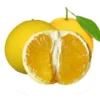 Canned Grapefruit in Light Syrup