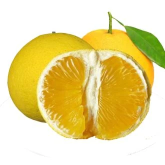 Canned Grapefruit in Light Syrup Canned Grapefruit in Light Syrup