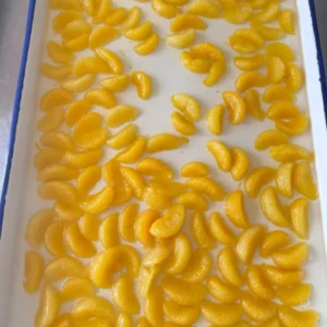 Canned Grapefruits for Breakfast or Salads