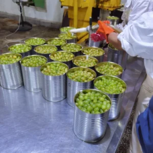 Canned Grapes in Syrup