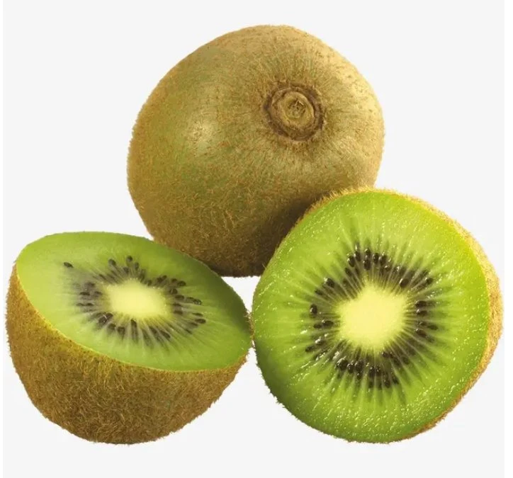 Canned Kiwi Fruit in Syrup Slices Canned Kiwi Fruit in Syrup Slices