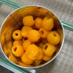 Canned Loquat Fruit in 567g Size