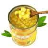 Canned Mango Dices Chunks Slices in Light Syrup