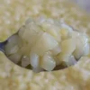 Canned White Peach Dice in Syrup 5*5*5 10*10*10 for Juice Adding