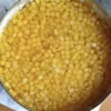 Canned Yellow Peach Diced in Syrup 8X8 mm Size
