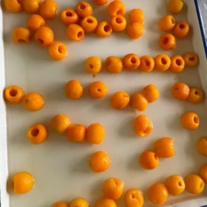Loquat Syrup Jar