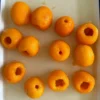 Low Sugar Loquat Pulp
