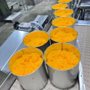 Premium Tangerine Orange Sacs in Syrup