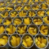 Ready Eat 15oz Canned Syrup Preserved Mango Sugar Citric Acid 10x10mm 2 Year Shelf Life Vietnam Can Tho Factory Bulk Supply