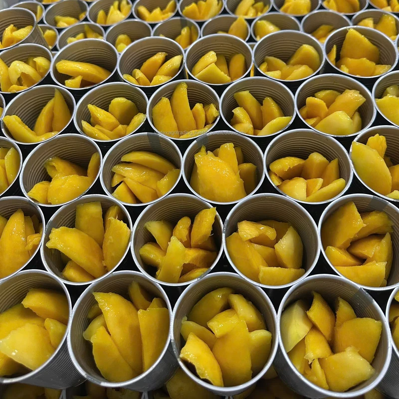 Ready Eat 15oz Canned Syrup Preserved Mango Sugar Citric Acid 10x10mm 2 Year Shelf Life Vietnam Can Tho Factory Bulk Supply Ready Eat 15oz Canned Syrup Preserved Mango Sugar Citric Acid 10x10mm 2 Year Shelf Life Vietnam Can Tho Factory Bulk Supply