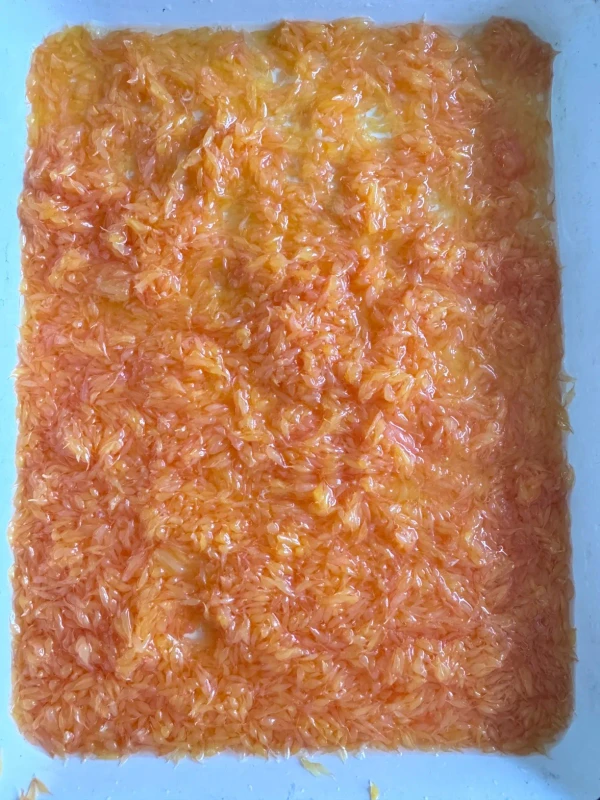 Sweet Red Grapefruit Slices in Citrus Juice Sweet Red Grapefruit Slices in Citrus Juice
